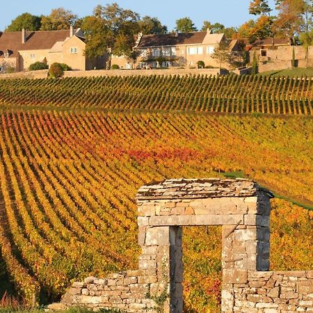 Le Nid Bourguignon Hotel Chalon-sur-Saone Luaran gambar