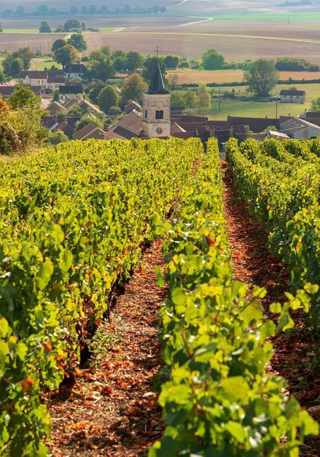Le Nid Bourguignon Hotel Chalon-sur-Saone Luaran gambar